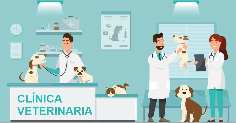 Veterinaria; concepto