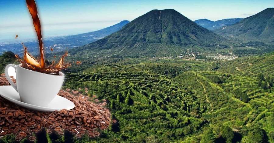 La Ruta del Café en El Salvador: turismo agroecológico y cultural