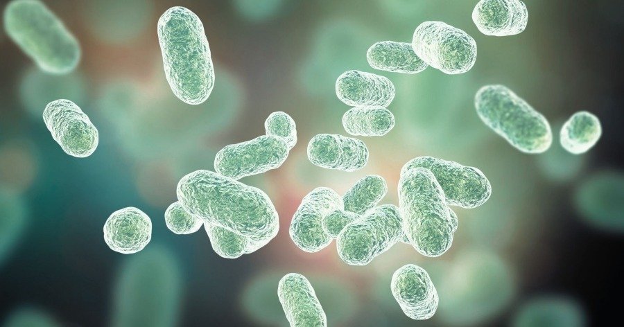 Conexión entre microbioma y presión arterial alta