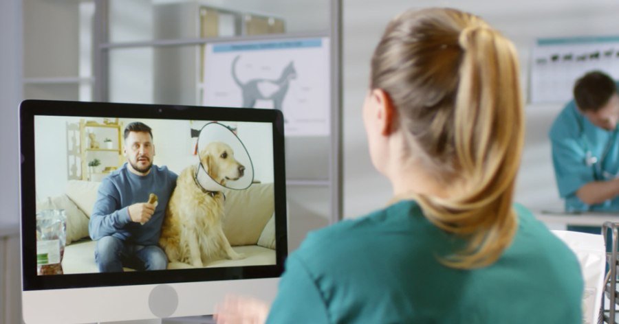 Implementar telemedicina en tu veterinaria