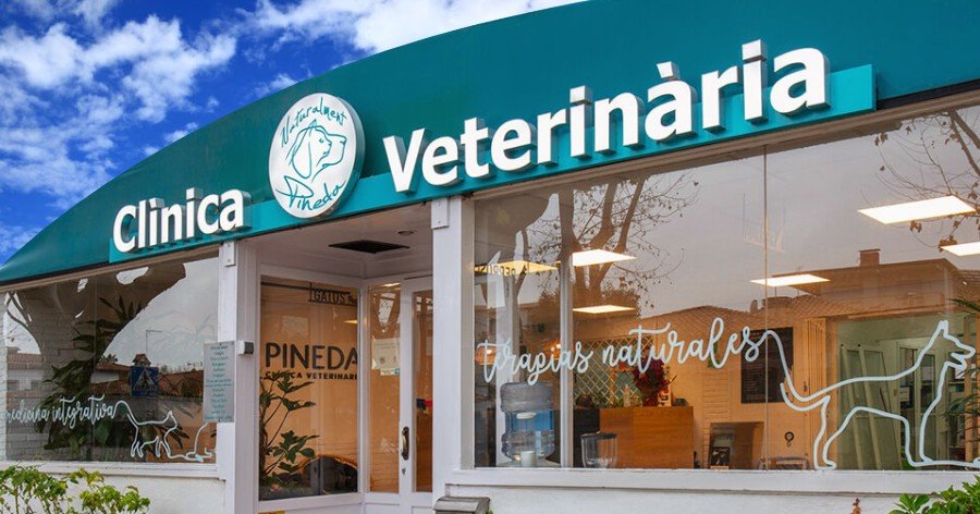 Marketing especializado para veterinarias
