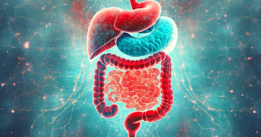 Obsesión por la salud intestinal