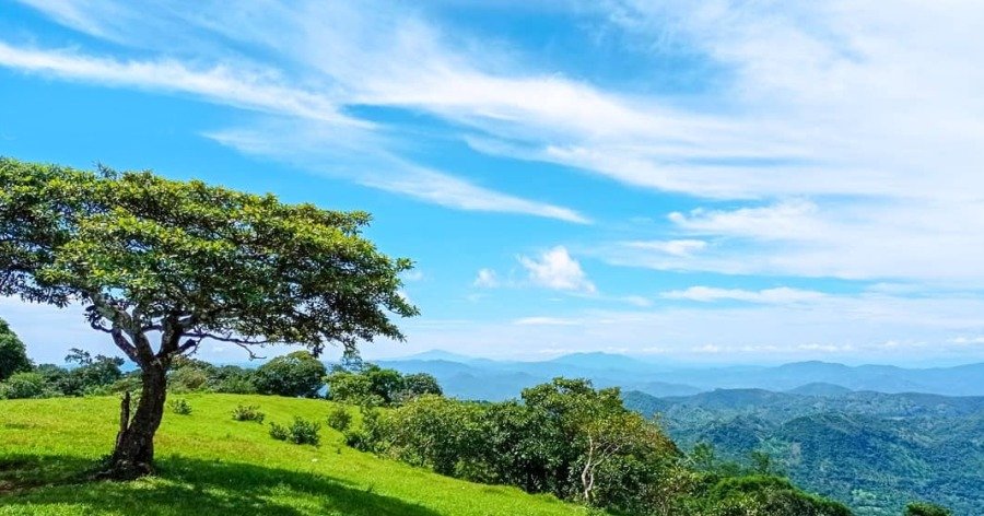 Cerro El Ocotillo (El Salvador): guía completa para visitantes