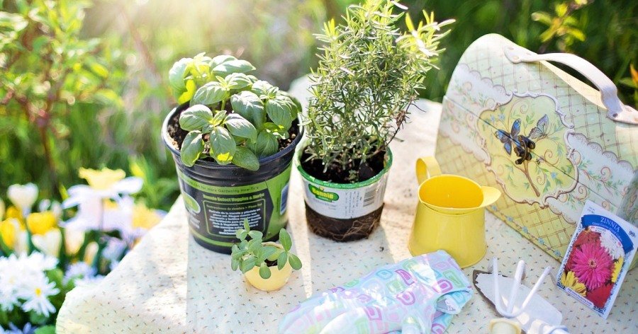 Herramientas, suministros, materiales de jardinería